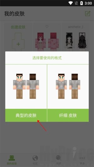 skinseed中文汉化版