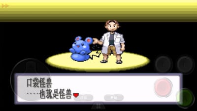口袋妖怪黑白中文版