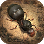 小小蚁国国际服(The Ants)官方版v3.61.0