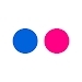 Flickr app中文版官网版v4.17.41