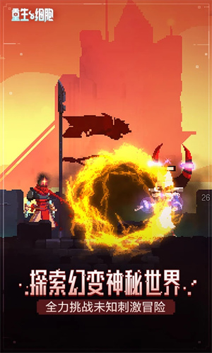 死亡细胞