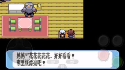 口袋妖怪黑白中文版