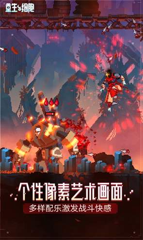 死亡细胞