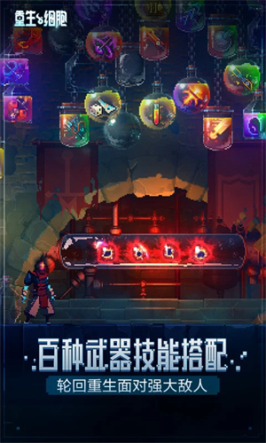 死亡细胞