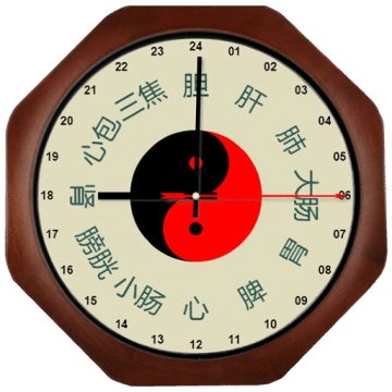 小猴经络时钟安卓手机版v1.3.5