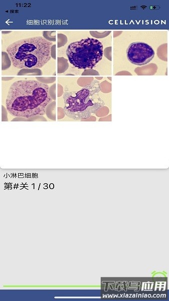 cellatlas汉化版 cellatlas中文版下载