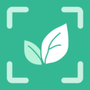 拍照AI识物app安卓版v1.0.0