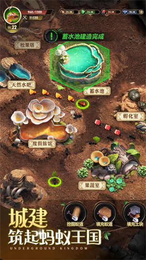 小小蚁国国服