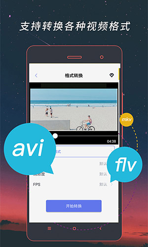 视频格式手机版
