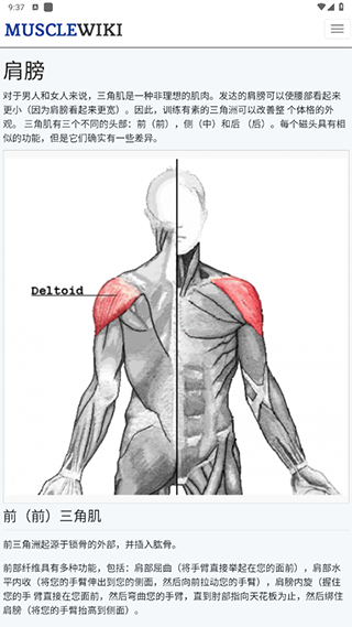musclewiki安卓app下载官方2026最新版 musclewiki安卓app下载官方2026最新版