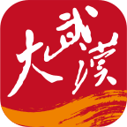 大武汉2026最新版