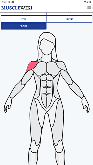 musclewiki安卓app下载官方2026最新版 musclewiki安卓app下载官方2026最新版