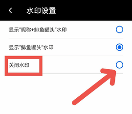 鲱鱼罐头去水印版