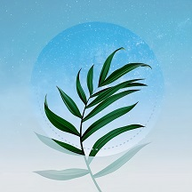 花草百科识别最新版 v1.1 安卓版