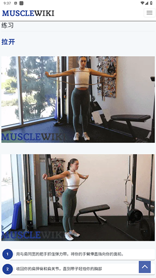 musclewiki安卓app下载官方2026最新版 musclewiki安卓app下载官方2026最新版