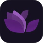 火花直播视频下载