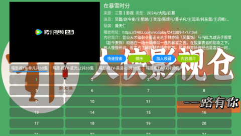 大侠影视TV去广告版
