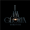 IAG Official Light Stick