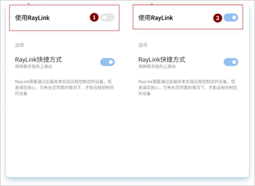 RayLink2025最新版