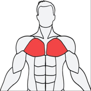 musclewiki安卓app下载官方2026最新版v3.0.9手机版