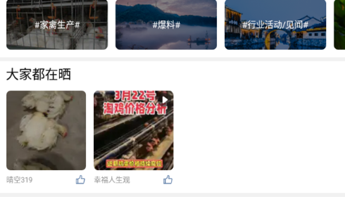 鸡病专业网论坛官方版