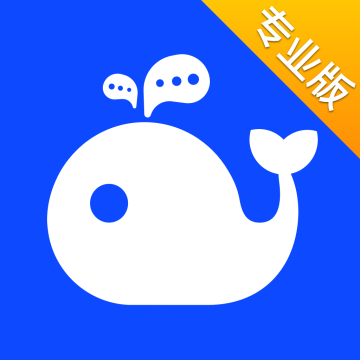 workplus se下载