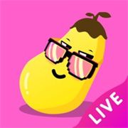 东京直播下载官方版