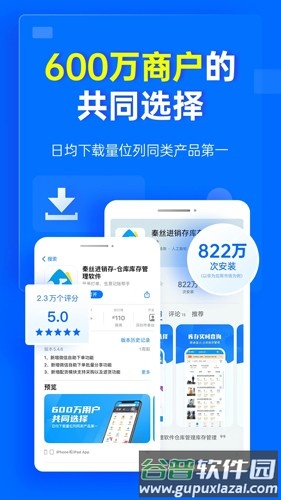 秦丝进销存软件