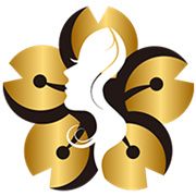 玲珑视频官网下载