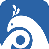 平安版纳公众版app