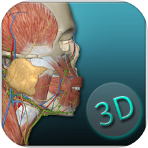 人体解剖学图集app