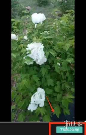 游侠网4