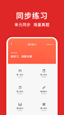 题拍拍拍照搜答案 v3.1.1安卓版