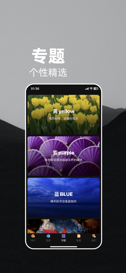 量岛壁纸app手机版