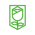 蔷薇出行司机版app