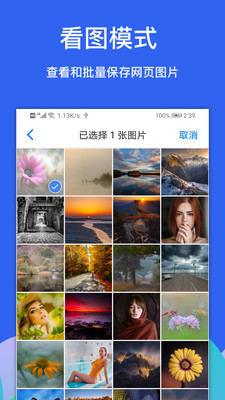 Alook浏览器 安卓版v9.3