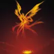 Phoenix Nirvana app