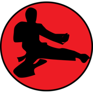 Learn Kung Fu Quickly快速学习功夫教学软件v1.2 2026官方中文版